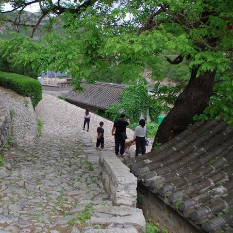 石家庄市哪里停车免费的