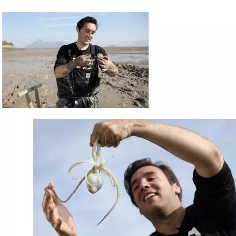 福建平板车店的相关长尾关键词有哪些