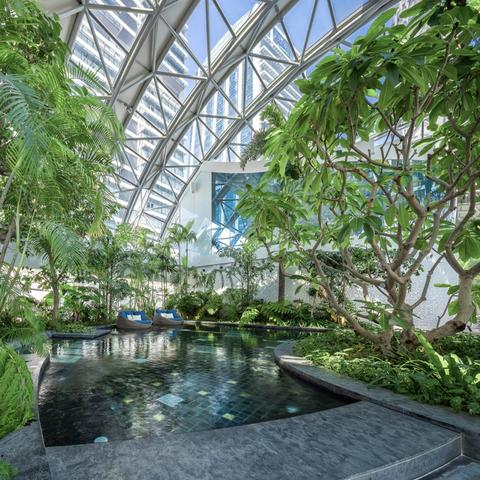 重庆定居哪个酒店最好的