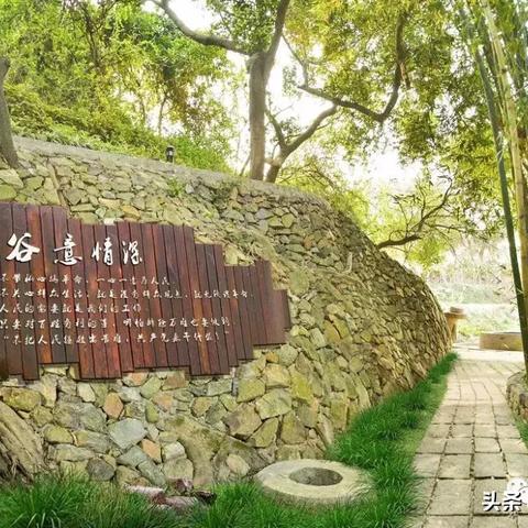 漳州民办学校排名？