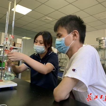 武汉市菜甸区有什么大学