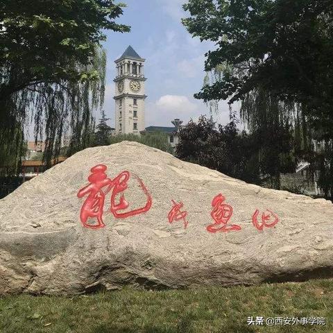 西安市生娃有什么奖励