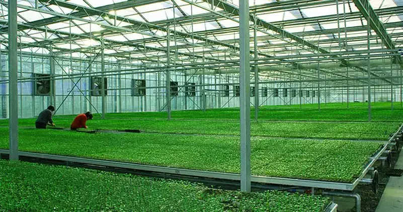 孔雀拉新怎么注册 神舟拉新怎么注册