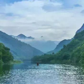 桂林资源菜心相关长尾关键词有哪些