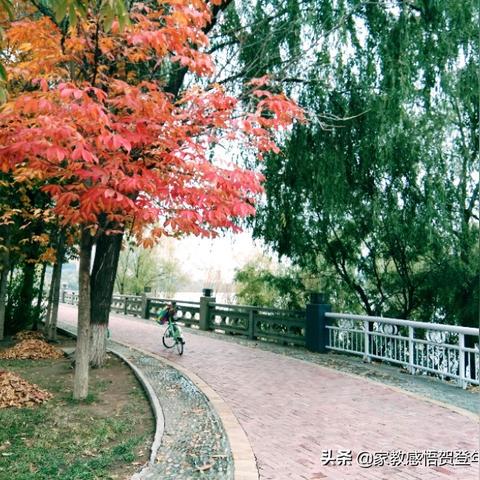 兰州市哪里免费钓鱼