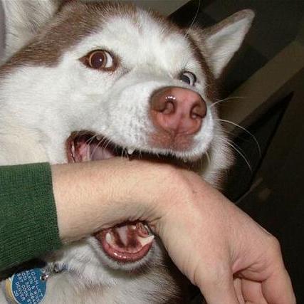 最近西湖区西溪医院附近算高风险地区吗？