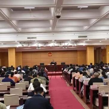 河南外汇行业怎么样
