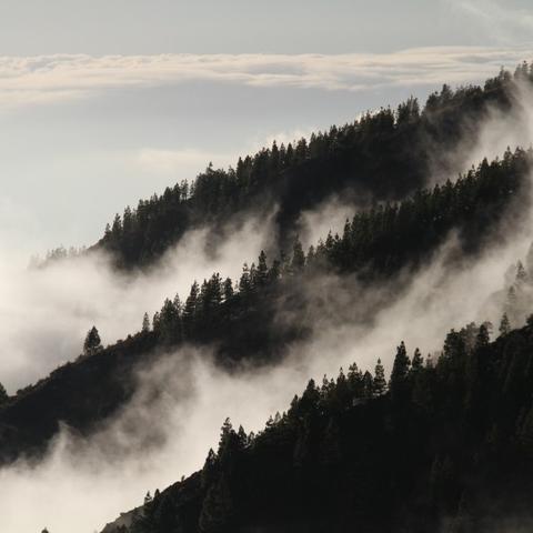 四月天气怎么样