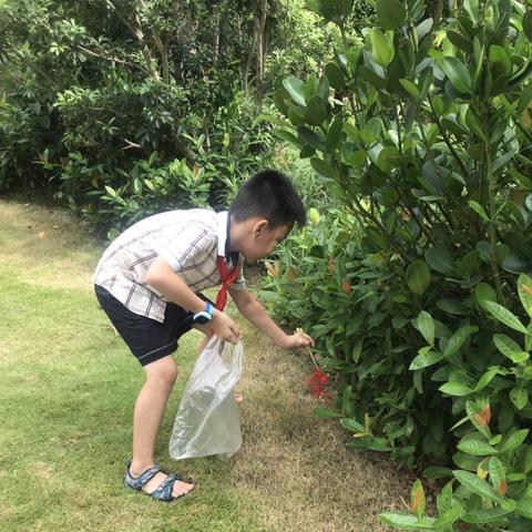 南宁家用垃圾分类车的相关长尾关键词有哪些