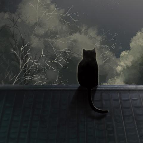 健身操广场舞减肥操60分钟.健身广场舞减肥操30？