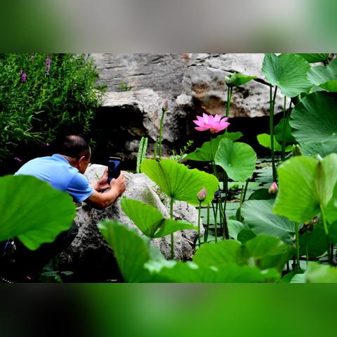 河北省邯郸市星漾演出的长尾关键词有哪些