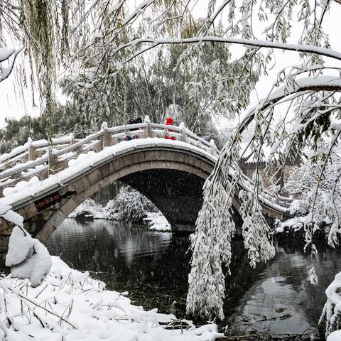 济南的冬天课后词语相关长尾关键词有哪些