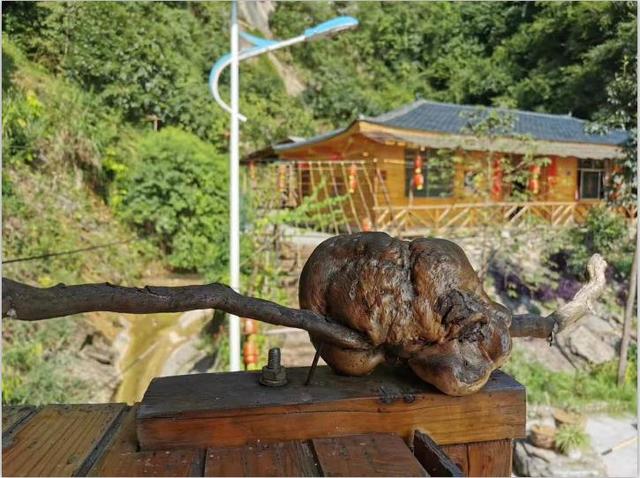 夏天带娃游泳消暑