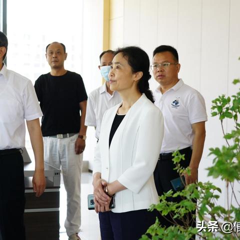 河南省监理工程师的相关长尾关键词有哪些