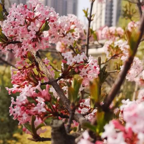 兰州小西湖桥下停车的相关长尾关键词有哪些