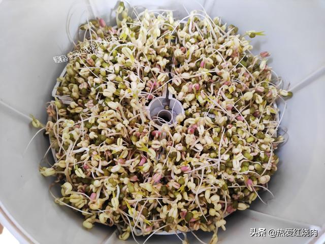 早起嘴巴苦和什么原因有关