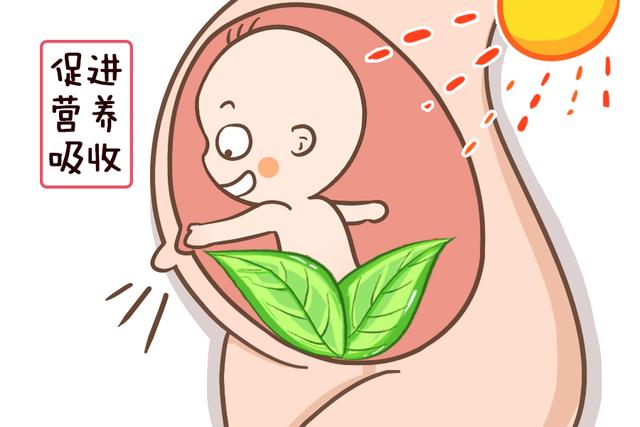 孕期同房时机不对，小心造成胎膜早破