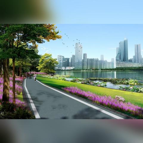 合肥市体育局在什么位置？