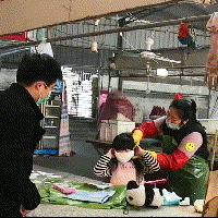济南水狮口罩相关长尾关键词有哪些