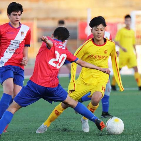 足球运动员的打招呼方式的长尾关键词有哪些