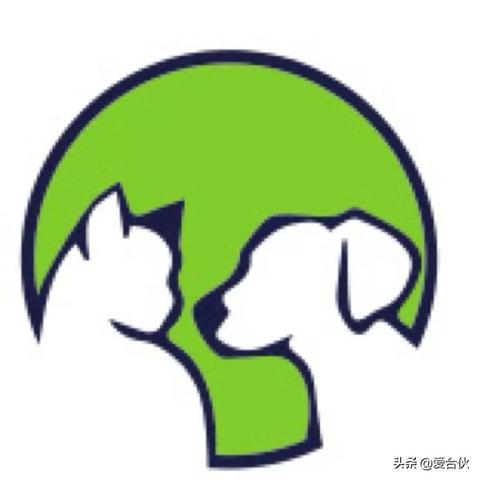 无锡市宠物救助中心电话的长尾关键词有什么