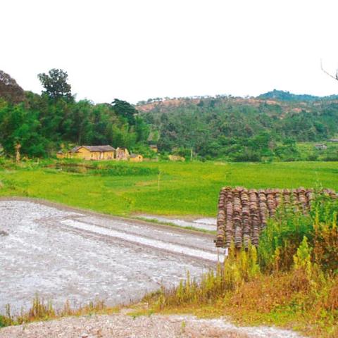 福建嶂遗址的相关长尾关键词有哪些