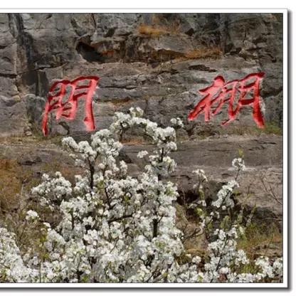 临沂市天宝村的长尾关键词有哪些