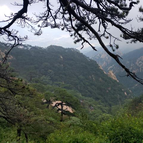 泰山足球比赛时间几点的长尾关键词有哪些