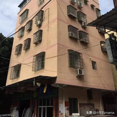 7月生肖运势2015(2021年7月15生肖运势)