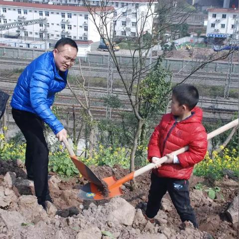 重庆大学教授回母校的长尾关键词有哪些