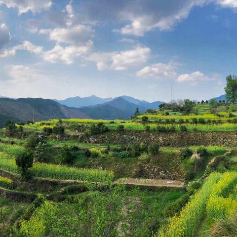 广州市白云有什么山