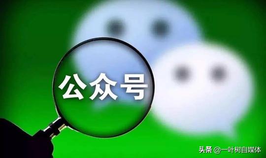音频项目解析，冷门项目的赚钱方式，让你也能衣食无忧