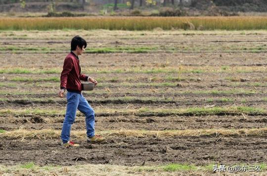农村怪事：种粮不赚钱，荒着会收回，土地流转却不愿意，为什么？