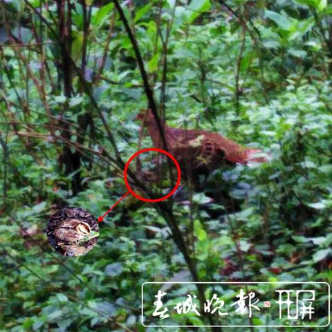 白色带字图片大全励志的长尾关键词有哪些