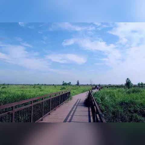 河南简称什么