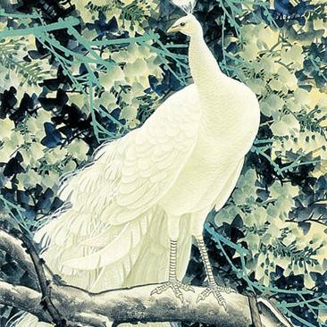 美家是什么啊，这个平台的商品好不好？