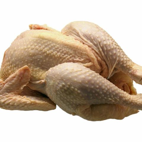 厦门白条鸡的相关长尾关键词有哪些