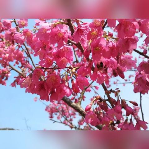 宁波sony维修中心的相关长尾关键词有哪些