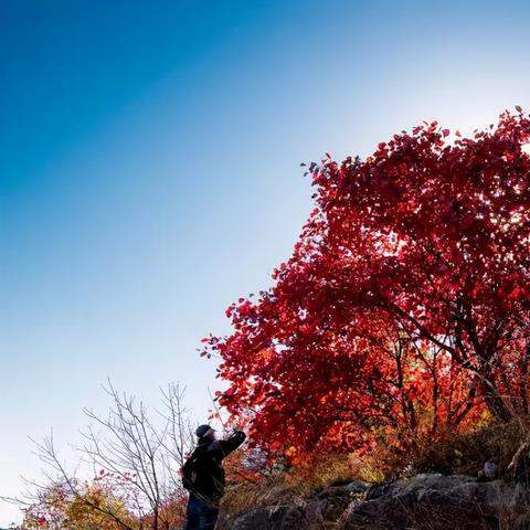 济南市黄沙埠村是哪个区