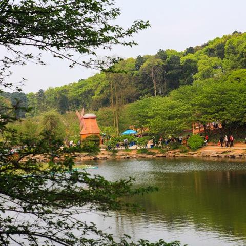 长沙植物园植物园相关长尾关键词有哪些