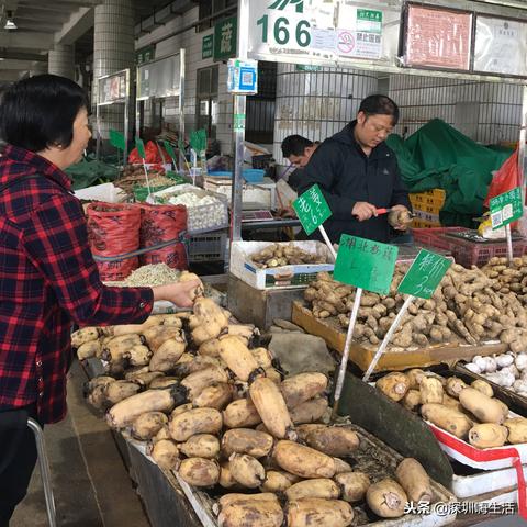 【深圳今日菜价】2025年6月16日深圳菜价是多少