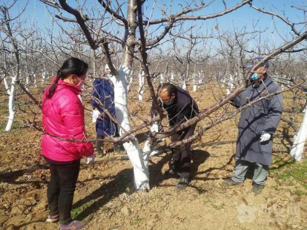 新十条防疫政策
,新十条防疫政策解读-图1 新十条防疫政策
,新十条防疫政策解读-图1