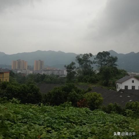 武汉市走马镇是哪个区