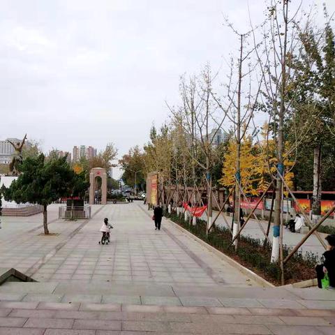 济南市老年人有什么优惠