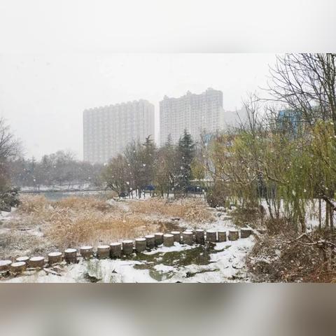 潍坊天气怎么了