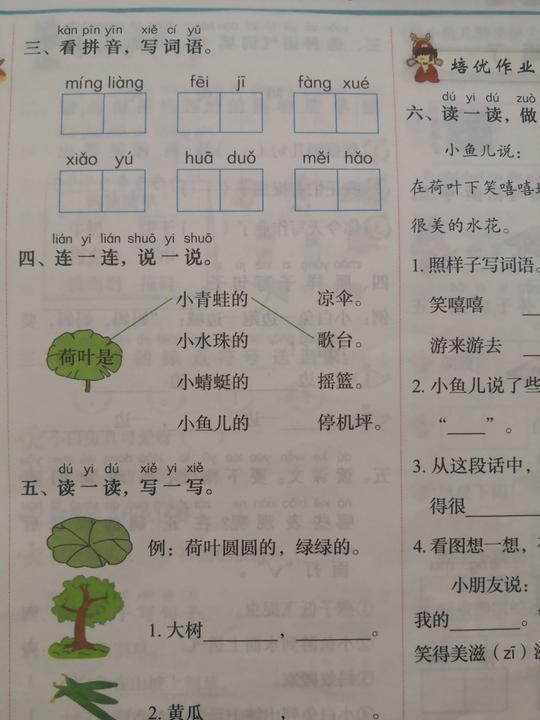 一年级下册第13课《荷叶圆圆》带你去看荷叶的小伙伴