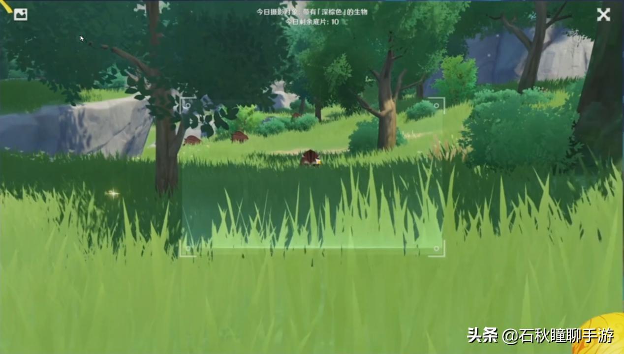 原神留影机怎么放快捷栏（原神双人大招特写镜头怎么拍）