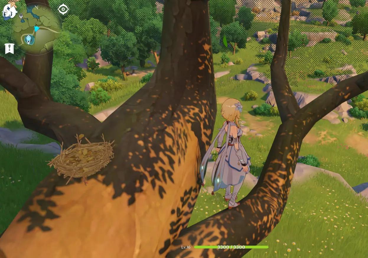 鸟蛋原神怎么活（原神中香菱厨师青蛙怎么获取）