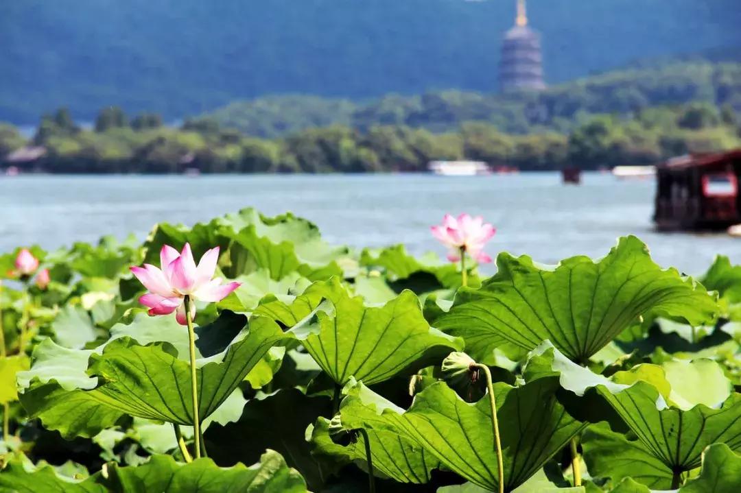 风景美食还有什么（若要你评选国内景色最美的五个省份）