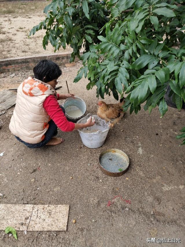 父亲喜欢做什么美食（窝头怎么做又简单又好吃）